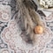 Nuloom Paulina Machine Washable Traditional Floral Medallion Area Rug 4ft x 6ft HJAU28A-406 - alternate 7